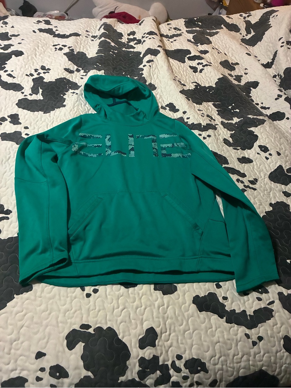Nike Kids Teal Green Pullover Hoodie with Chest Graphic